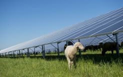 BayWa r.e.’s  50MW Rag Lane Solar Farm granted planning permission