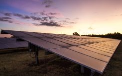 Bluefield Solar Income Fund earnings rise as it restrikes PPAs at ‘significantly higher levels’