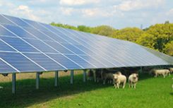 Scotland’s first solar farm celebrates one year of generation