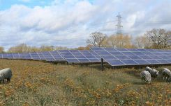Leicestershire County Council targets new £14m solar farm development