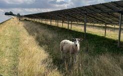 Renewable Connections gets green light for 49.9MW solar farm in the East Midlands