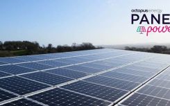 Octopus launches new Panel Power tariffs for businesses with solar