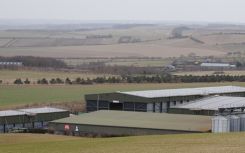 526kWp solar array helps Hertfordshire farm control energy bills
