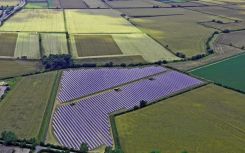 Lightsource BP to develop 17MW wildlife-friendly solar farm