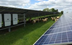 Farmers without solar missing out on up to £1 billion over two years, says ECIU