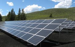 CWL-commissioned poll shows windfall tax on solar lacks public support