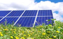 Consultations begin for Lincolnshire solar farm