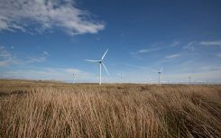 ScottishPower to build 40MW of solar to help fuel Green Hydrogen for Scotland